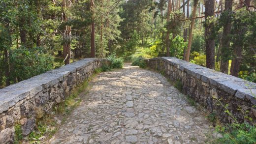 Día 4 · Multiaventura en Cercedilla